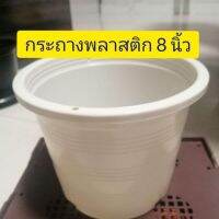 กระถางพลาวติก 8นิ้ว สีขาวครีม