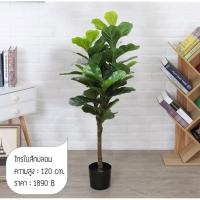 ?สินค้าขายดี? [120 cm.][พร้อมส่ง1.7M] ต้นไทรใบสักปลอม มี7 ขนาด