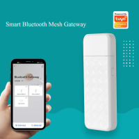 Tuya USB Smart Bluetooth Mesh Gateway Sig Wireless WIFI Bluetooth Central Hub สำหรับอุปกรณ์อิเล็กทรอนิกส์