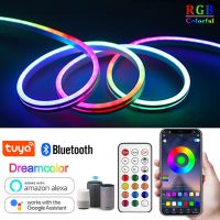 RGBIC LED Neon Light DC12V Smart Strip Dreamcolor IP67 Waterproof Rainbow Chasing Effect Flexible Tape for Home DIY Decoration LED Strip Lighting