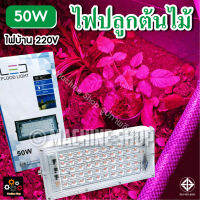 *พร้อมส่ง* ไฟปลูกต้นไม้ LED 50W  100W ไฟปลูกพืช (ไฟบ้าน) รุ่นปลั๊กเสียบ 2 ขา ช่วยการเจริญเติบโตของพืช