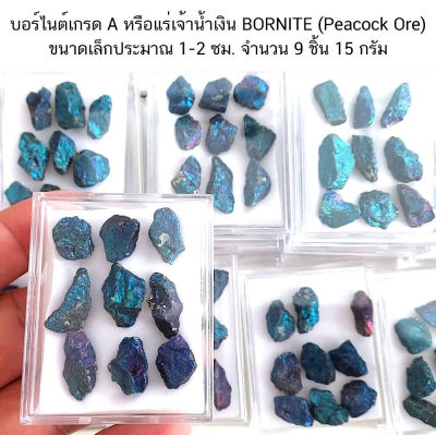 บอร์ไนต์เกรด A+ BORNITE (Peacock Ore) หรือแร่เจ้าน้ำเงิน 9 ชิ้น ขนาด1-2 ซม.สุ่มเลือก 1 กล่อง