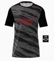 Fastest shipping 21 22 Benfica jersey SEFEROVIC WALDSCHMIDT EVERTON PIZZI RAFA DARWIN s suit football shirt