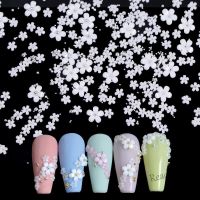 【hot sale】 ℗✻♧ B50 1 Bag 3/6mm Acrylic Pink White Flowers Nail Jewelry Mixed Size Nail Art DIY Accessories with Gold Silver Beads