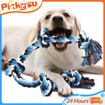 Shop Dog Toys Tug War with great discounts and prices online - Nov