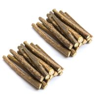 30Pcs Natural Silvervine Sticks for Catnip Sticks Matatabi Chew Sticks Teeth Molar Chew Toys for Cat Teeth Cleaning