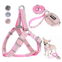 ☬ Harness Leash Set Small Dogs Cute Dog Harnesses Small Dogs - Cute Dog Harness - Aliexpress