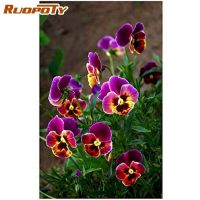 RUOPOTY 5D diamond painting DIY fringed iris flower diamond embroidery embroidery handmade cross stitch kit Hobbies Crafts