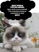 [Zhongshang original]Grumpy guide to life: observations from grumpy cat