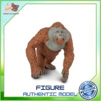 Safari Ltd. : SFR292929 โมเดลอุรังอุตัง Male Orangutan Model Action Figure Cartoon แอกชั่น ฟิกเกอร์ ของเล่น ของสะสม ของเล่นเด็ก ตุ๊กตา Mamy and Buddy