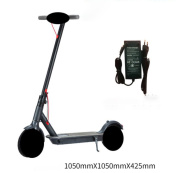 Xe Scooter điện phù hợp cho cả người lớn và trẻ em