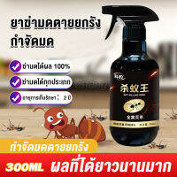 Chang สเปย์กำจัดมด ยากำจัดมดภายในบ้าน กำจัดแมลง  Pest Control