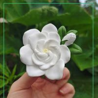 [ จัดส่งด่วน ] Gardenia น้ำหอมอโรมาเทอราพีติดรถยนต์หินกระจายกลิ่นเครื่องปรับอากาศรถยนต์ตกแต่งกลิ่นดอกไม้ของขวัญภายในรถ