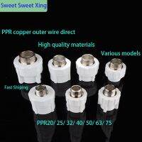 PPR50/63/70 External Wire Direct Reducing Adapter PPR Water Pipe Fittings Valves