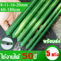 ☘️ใช้ได้ 50ปี☘️ 5ชิ้น ไม้ค้ำต้นไม้ ไม้ค้ำยัน ไม้หลัก เสาค้ำต้นไม้ เสามะเขือเทศ หลักไม้เลื้อย เสาไม้เลื้อย ยาว60-180ซม.หนา8-16มม.ซุ้มไม้เลื้อย โครงไม้เลื้อย ไม้ค้ำยันต้นไม้ ซุ้มต้นไม้ หลักไม้ค้ำ ท่อเหล็กPE เสาค้ำผักสวนครัว เสาองุ่น ซุ้มกุหลาบ ซุ้มไม้ดอก