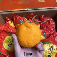 ส้มจุกจีน ส้มจุกไต้หวัน (1แพค) (CHN) ~ลดพิเศษ~ Neck Orange ส้มมงคล หวานอมเปรี้ยว ส้มไหว้ตรุษจีน จากจีน อร่อยไม่แพ้ ส้มจุกเกาหลี ส้มจุกญี่ปุ่น