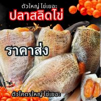 ปลาสลิด ปลาสลิดมีไข่ทุกตัว 300 กรัม ปลาสลิดไข่