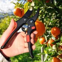 Pruning Shears Grafting Tool for Fruit Trees Pruner Garden Clippers Bypass Pruners Professional Garden Scissors Garden Tools