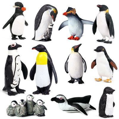 Penguin toys simulation Marine Antarctic penguins childrens science educational dolls dolls animal model furnishing articles