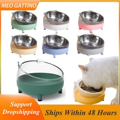 Safe Neck Cat Dog Bowl 15 Degrees Raised Stainless Steel Kitten Food Bowls Non-slip Crash Elevated Puppy Cat Feeding Supplies
