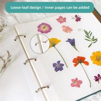 【LZ】 Plant Specimen Album Collection Lamination Diy Album Creative Handmade Leaves Dried Flower Storage Book Loose-leaf Card Book