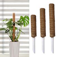 Garden Coir Totem Coconut Palm Sticks Vine Support Plant Moss Pole Moss Stick For Climbing Plants Support Extension Food Storage  Dispensers