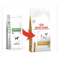 นาทีทอง ส่งฟรี Royal Canin Urinary S/O Small Dog ขนาด 4 kg อาหารสุนัข พันธุ์เล็ก โรคนิ่ว ระบบทางเดินปัสสาวะส่วนล่าง