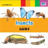 หนังสือ เรียนรู้โลกกว้าง 2 ภาษา (อังกฤษ - ไทย) ตอน Insects แมลง