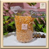 เมล็ดข้าวโพดดิบ เม็ดข้าวโพด Popcorn ป๊อปคอร์น ข้าวโพดคั่ว 500 กรัม Mushroom มัชรูม สะอาด คุณาพดี