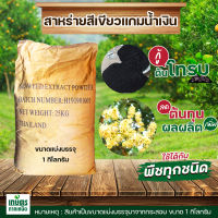 สาหร่ายสีเขียวแกมน้ำเงิน (ผง) 80% กระตุ้นการออกดอกและแทงยอด บรรจุ 1 กิโลกรัม(เป็นขนาดที่ถูกแบ่งมาจากกระสอบใหญ่)