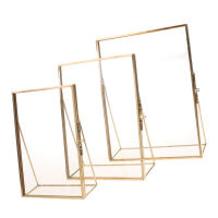 Simple Antique Rectangular Freestanding Transparent Glass Photo Frame for Home Decoration - Gold