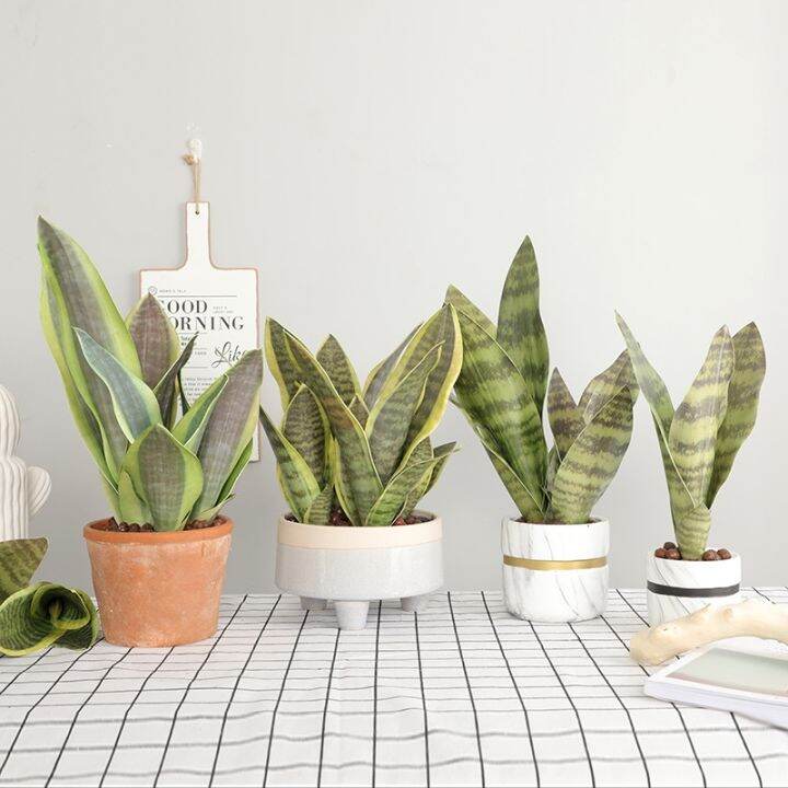 ayiq-flower-shop-พืชเทียม-sansevieria-บอนไซตกแต่งพลาสติกปลอมใบทะเลทราย-succulents-พืช-agave-โฮมออฟฟิศสวน-decors