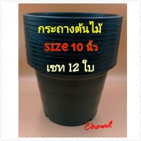 กระถางต้นไม้สีดำ ขนาด 10 นิ้ว ขายเป็นเซท 12 ใบ กระถางต้นไม้พลาสติกสีดำ