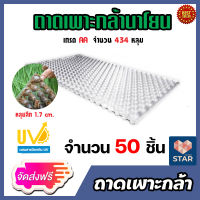 **ส่งฟรี**ถาดเพาะกล้านาโยน มี 434 หลุม แพ็ค 50 ชิ้น ทำนาโยน ถาดปลูกกล้านาโยน ถาดเพาะกล้า ถาดเพาะนาโยน ถาดนาโยน เพาะกล้านาโยน