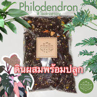 ดินผสม ปรุงสำเร็จ สูตร 5 ฟิโลเดนดรอน(Philodendron) ,พลู/อิพิ (Epipremnum) Pasom Garden