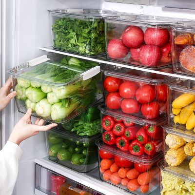 [COD] onion fresh-keeping box transparent refrigerator vegetable drawer storage kitchen finishing sealed