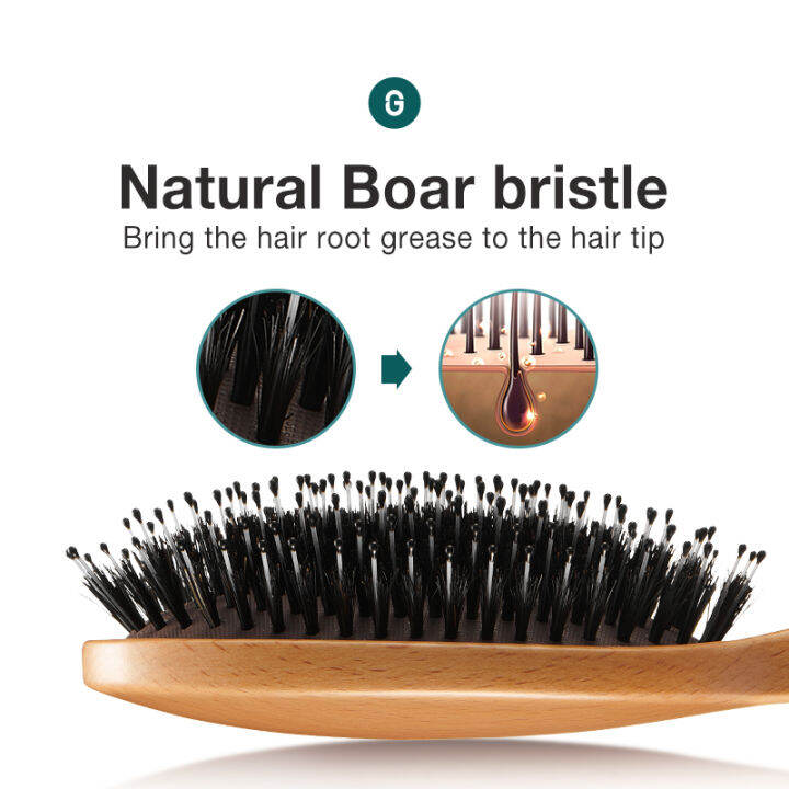 mr-green-boar-bristle-hair-brush-natural-beech-comb-hairbrush-for-curly-thick-long-dry-wet-hair-detangler-แปรงนวดผู้หญิงth