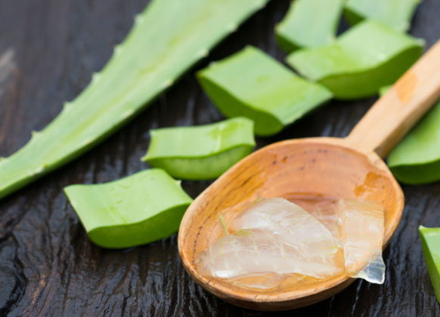 aloevera-gel-เจลว่านหางจระเข้100-เจลว่านหางจเข้-เจลว่านจระเข้-เจลวานหางจรเข้-เจลว่านห่าง-เจลวานหาง-เจลว่านหางaloe