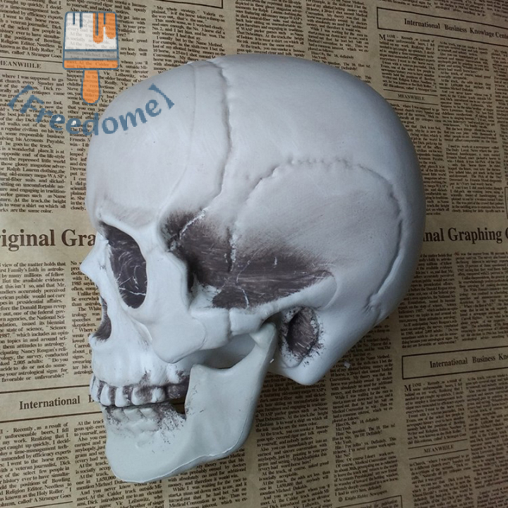 freedome-zhaowei906-pnate-โมเดลหัวกระโหลกเทียมของตกแต่งโครงกระดูกสยองขวัญน่ากลัวกระดูกกะโหลกศีรษะ