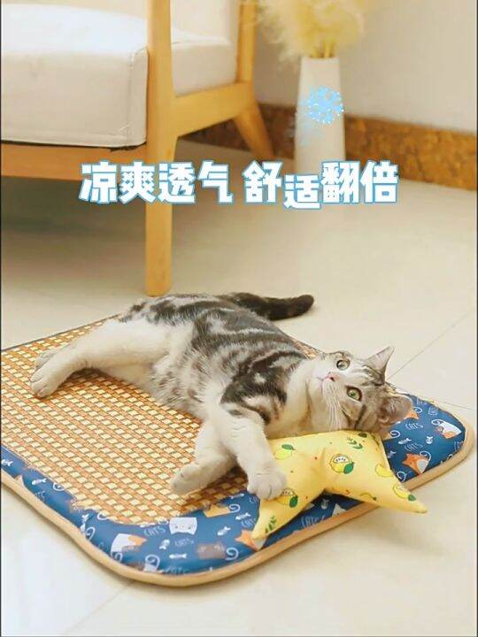 Pet Summer Cooling Pad With Pillow Biteresistant Ice Pad Pet Supplies