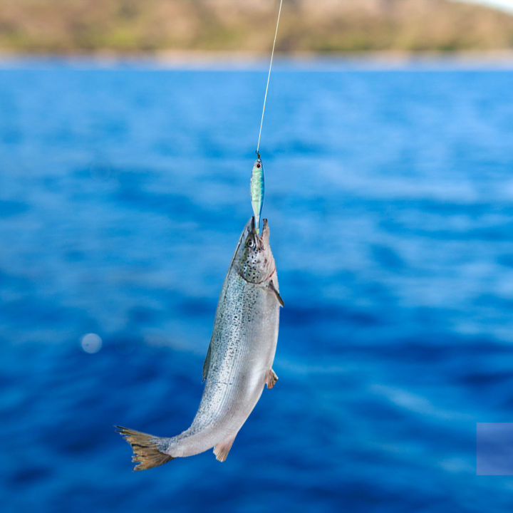 เหยื่อจิ๊กกิ้งปลาหมึกตกปลาสำหรับเรือขนาด60มม-5-5ก-ตะขอปลาหมึกเหยื่อตกปลากุ้งปลอมปลาหมึกเรืองแสงเหยื่อเหยื่อน้ำเค็มปลาหมึกฟรี