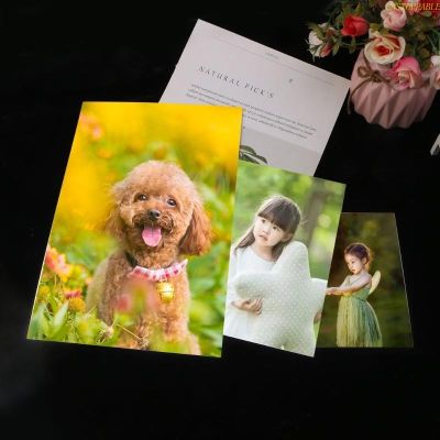 blg 3Pcs Sublimation Blank Plate Aluminum Photo Metal Wall Poster Frame Plate for Thermal Sublimation Printing Photo Sig 【JULY】
