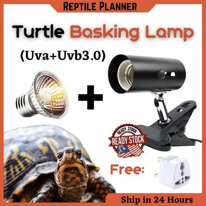 UVA UVB 3.0 Reptile Lamp Clip-on Bulb Heat Lamp Holder Tortoise Turtle ...