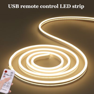 №◎ USB LED Flexible Neon Light Strip RF Remote PIR Motion Sensor Stripe Led Lights Kitchen night light cabinet Sweep Waving ON OFF