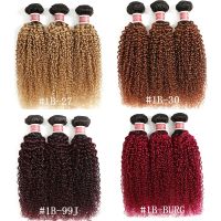 Ombre 27 Kinky Curly Hair Bundles Brazilian Human Hair 1/3 Pcs 1B Brwon Red Burg Remy Curly Hair Weaving Bundles EUPHORIA Hand Tool Parts Accessories