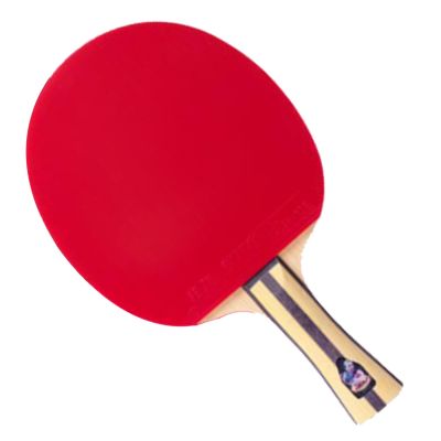 DHS Table Tennis Racket T4002 T4006 Ping Pong Paddle Table Tennis Racquets indoo sports Raquete