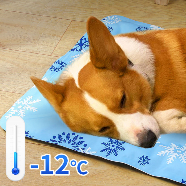 cold-pad-เบาะนอนเย็น-ที่นอนเจลเย็น-สำหรับตว์เลี้ยง-แผ่นเจลเย็นสุนัข-แผ่นเจลเย็นสุนัข-เจลเย็นลดความร้อน-เย็นลงได้ตลอดเวลา-ที่นอนสัตว์เลี้ยง-สบาย-pa25