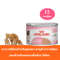 (ส่งฟรี) [ยกถาด 12 กระป๋อง] Royal Canin Mother&amp;Babycat Can Tray อาหารเปียกลูกแมว อายุต่ำกว่า 4 เดือน และแม่แมวตั้งท้อง-ให้นม