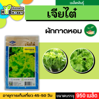 เจียไต๋ ?? ผักกาดหอม ขนาดบรรจุประมาณ 960 เมล็ด อายุเก็บเกี่ยว 45-50 วัน