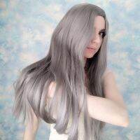 Long Straight Wig Without Bangs Middle Part Mix Color Synthetic Heat Resistant Silky Blonde Grey Colorful Costume Cosplay Wigs Wig  Hair Extensions Pa